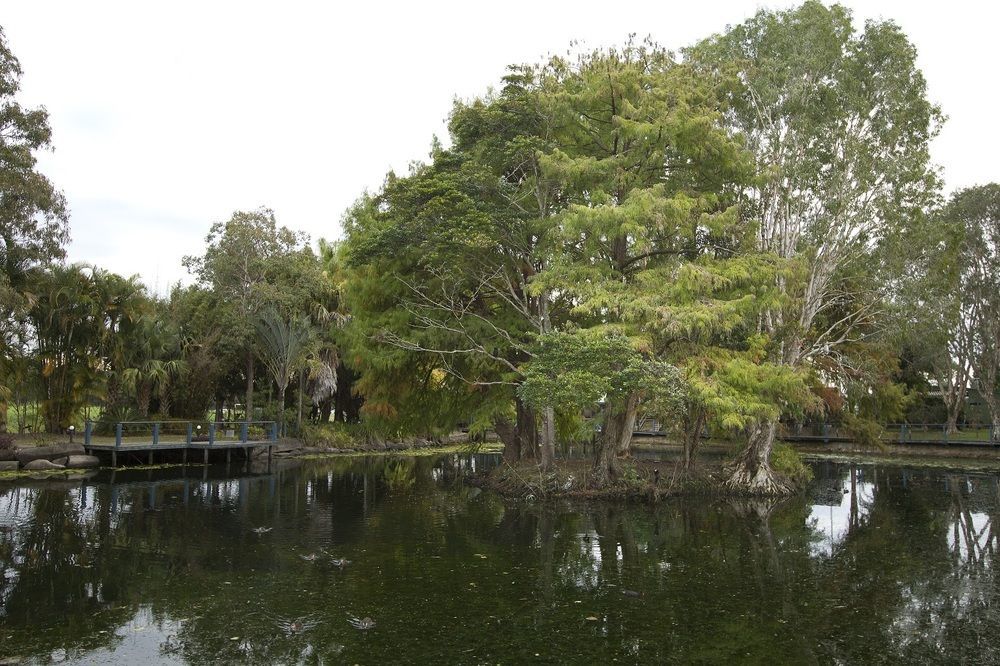 Отель Maroochydore Cabins Экстерьер фото
